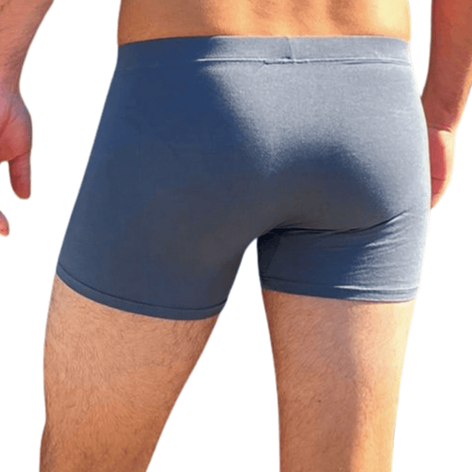 Mens Trunks Grey