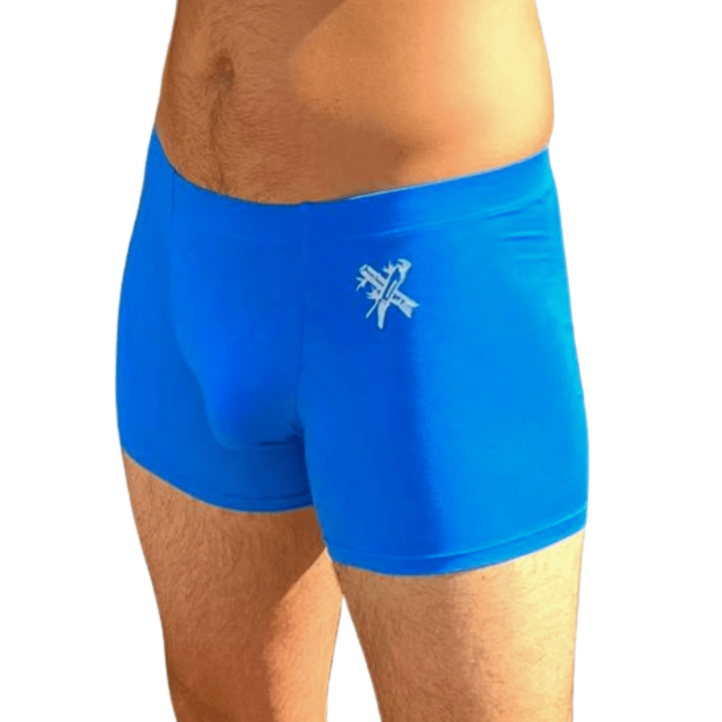 Mens Trunks Blue