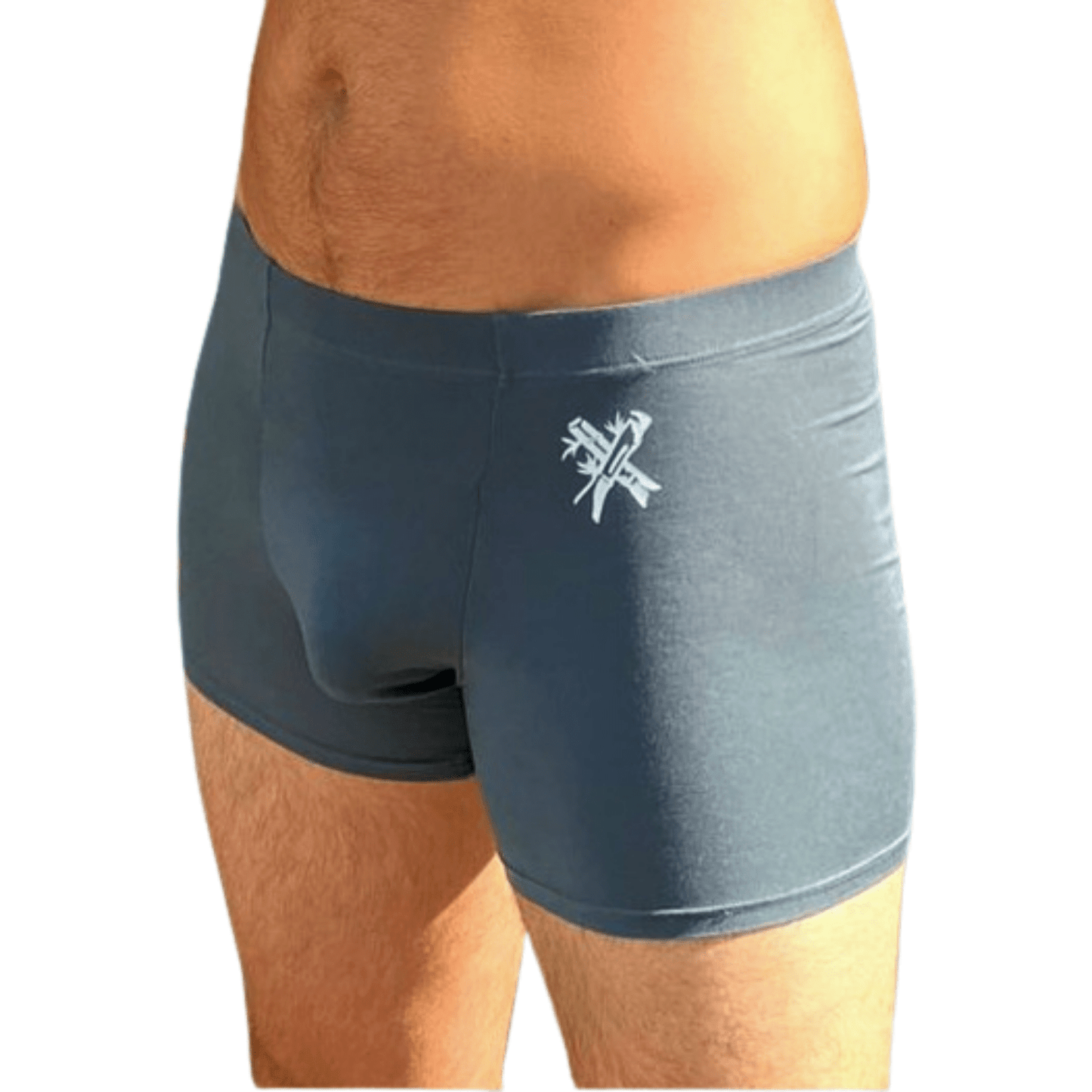 Mens Trunks Grey